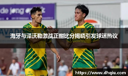 海牙与泽沃勒激战正酣比分揭晓引发球迷热议